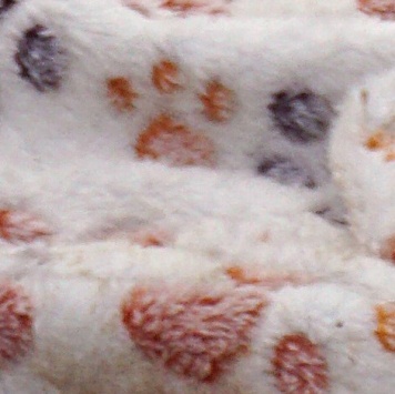 Собаки в добрые руки - Манго - 2