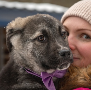 Собаки в добрые руки - Маркус - 3