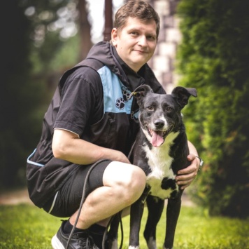 Собаки в добрые руки - Ромео - 4