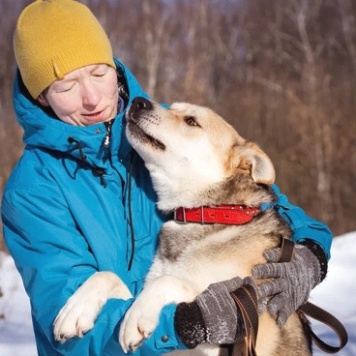 Собаки в добрые руки - Брюс - 1