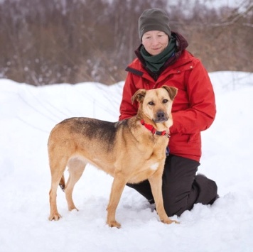 Собаки в добрые руки - Шеба - 2