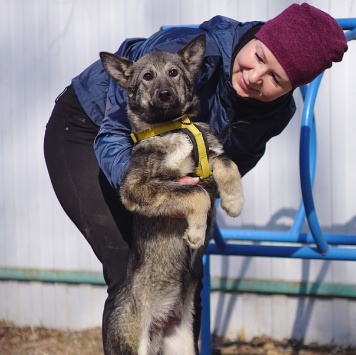 Собаки в добрые руки - Вегас - 3