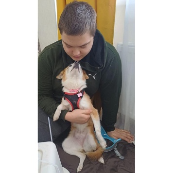 Собаки в добрые руки - Манки - 3