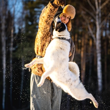 Собаки в добрые руки - Ласка - 3
