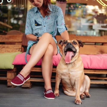 Собаки в добрые руки - Джуди - 1