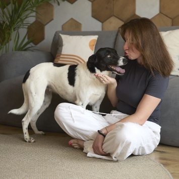 Собаки в добрые руки - Джес - 2