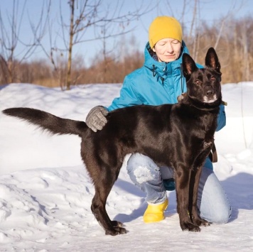 Собаки в добрые руки - Рада - 1