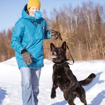 Собаки в добрые руки - Рада - 3