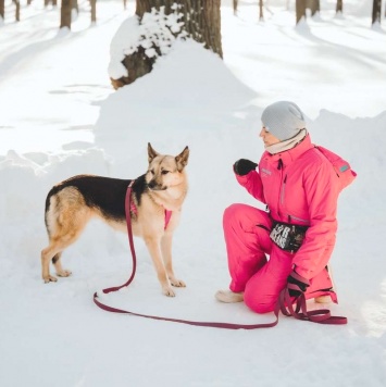 Собаки в добрые руки - Пеппи - 4