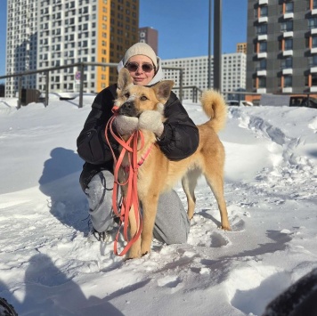 Собаки в добрые руки - Рэй - 4