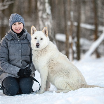Собаки в добрые руки - Денди - 1