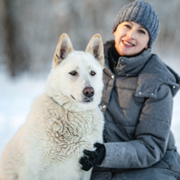 Собаки в добрые руки - Денди - 3