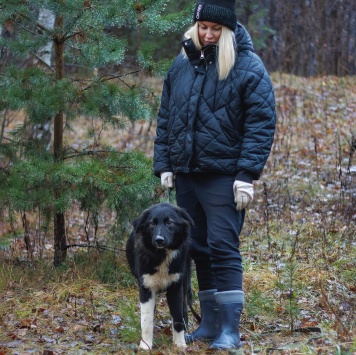 Собаки в добрые руки - Дёма - 2