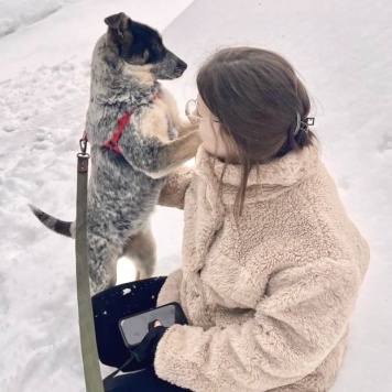 Собаки в добрые руки - Пеги - 4