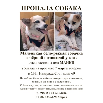 Манки - Пропавшие собаки