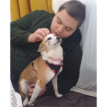 Пропавшие собаки - Манки - 3