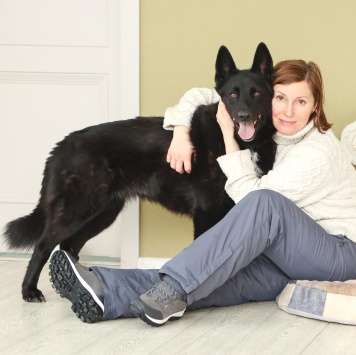 Собаки в добрые руки - Рене