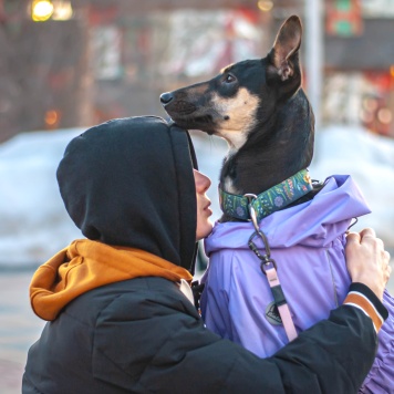 Собаки в добрые руки - Мира - 2