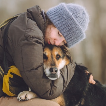 Собаки в добрые руки - Сказка - 3