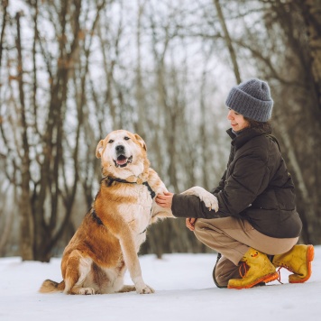 Собаки в добрые руки - Байкал - 3
