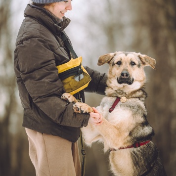 Собаки в добрые руки - Иванушка - 1