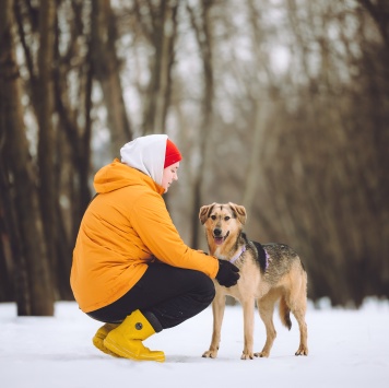 Собаки в добрые руки - Миндалька - 1