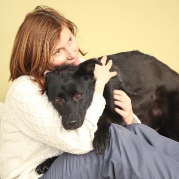 Собаки в добрые руки - Асти - 2