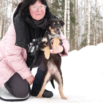 Собаки в добрые руки - Марсель - 3