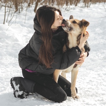 Собаки в добрые руки - Джус - 4