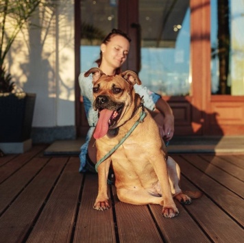 Собаки в добрые руки - Джуди