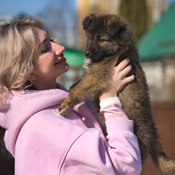 Собаки в добрые руки - Оттоне - 3