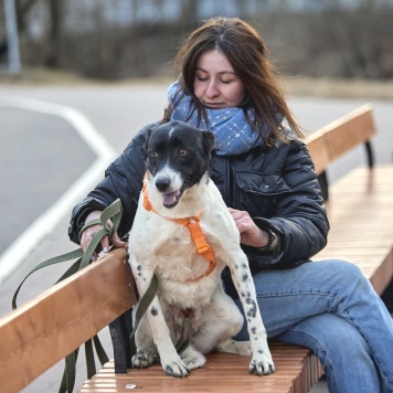 Собаки в добрые руки - Джес - 1