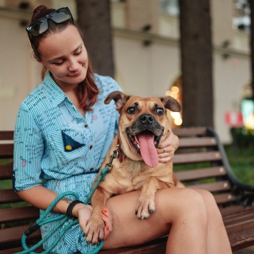 Собаки в добрые руки - Джуди - 1