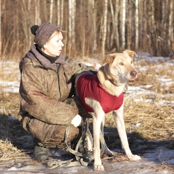 Собаки в добрые руки - Ким - 1