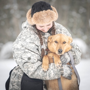 Собаки в добрые руки - Санни - 2