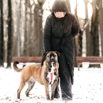 Собаки в добрые руки - Тина - 3