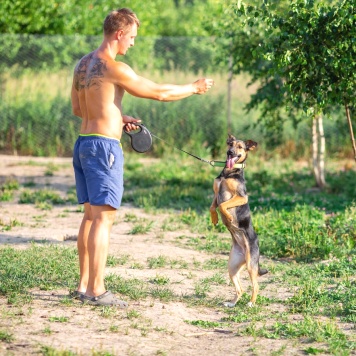 Собаки в добрые руки - Ива - 4