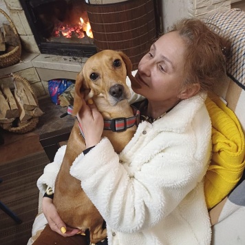 Собаки в добрые руки - Тася - 2