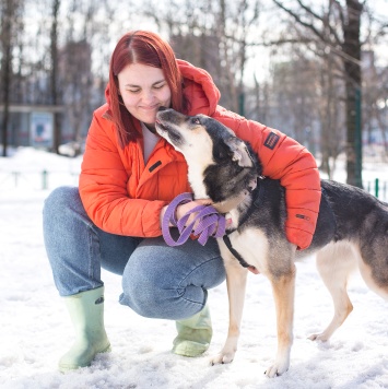 Собаки в добрые руки - Мира - 2