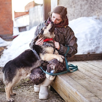 Собаки в добрые руки - Коржик - 4