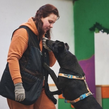 Собаки в добрые руки - Чернушка - 2