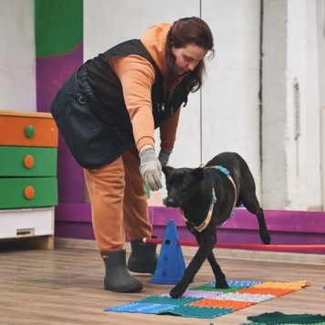 Собаки в добрые руки - Чернушка - 4