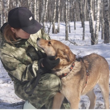 Собаки в добрые руки - Аксель - 1