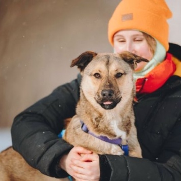 Собаки в добрые руки - Сади