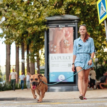 Собаки в добрые руки - Чили - 2