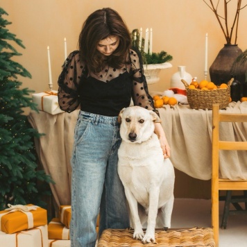 Собаки в добрые руки - Сия - 3