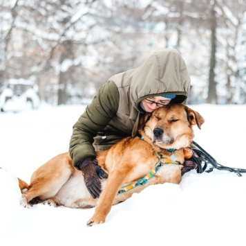 Собаки в добрые руки - Джек - 4