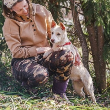 Собаки в добрые руки - Пилот - 2
