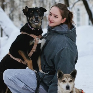 Собаки в добрые руки - Вива - 2