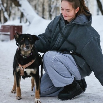 Собаки в добрые руки - Вива - 3